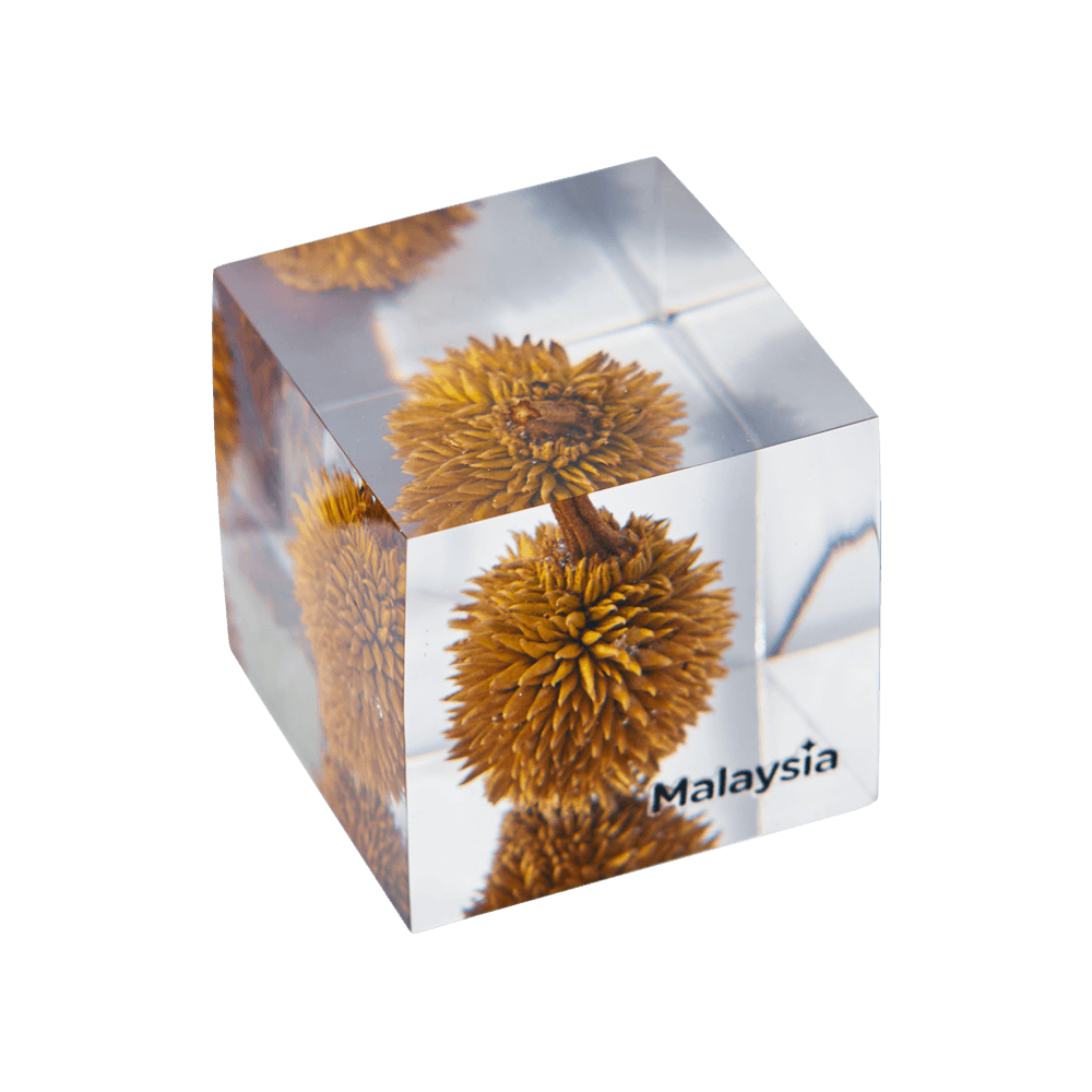 DurianBB Forever Cube Musang King 这不是食品